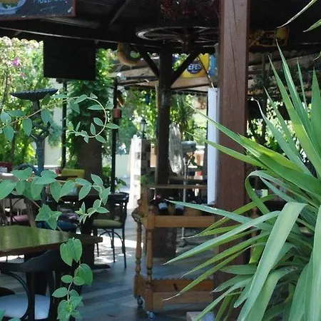 巴德酒店 酒店